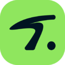 Tylineir