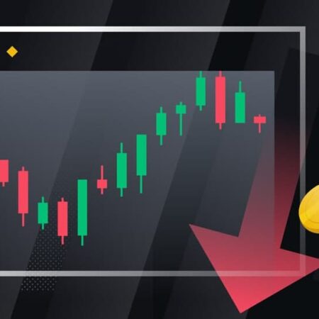Торговое плечо на Forex — как оно работает и какие риски несёт трейдер?