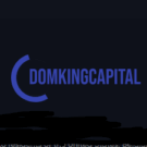 Domking Capital LTD