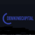 Domking Capital LTD